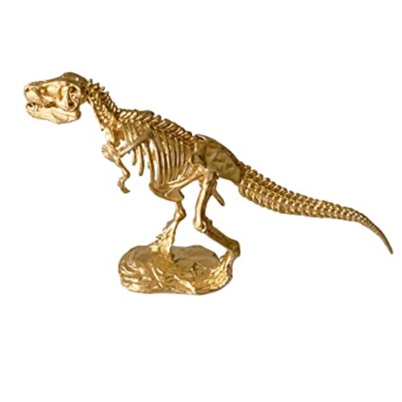 SALE! Urban Outfitters T- Rex Skeleton Sculpture Home Decor - Picture 4 of 6